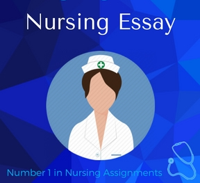 Superior Nursing Papers Services